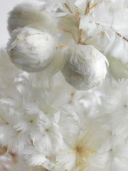 Detail of a magnificent and very large Victorian dome of beautiful feather work, housing a tree with flowers, balls, a bird and a stalk carrying a baby, all created out of intricate wire-work and white feathers.