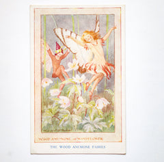 A collection of original 1920s flower fairy postcards, printed by Medici Society Ltd London, the water colour illustrations by Margaret W Tarrant. Titled "Fairies of the Countryside" these illustrations were all part of the 1920s trend for the belief in fairies, and fairy-mania, sparked by the 'Cottingley Fairies' discovery.