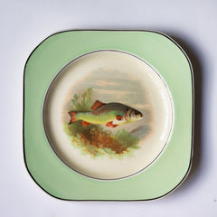 A fish pattern plate, and part of a glorious 1930s fish dinner service, complete with a large platter for serving a whole fish.  Each piece is embellished with a fresh water fish, such as pike, perch and trout, and contained within a mint-green border. Each item is stamped "Woods Ivory Ware England" to its underside.