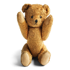 Baby Ted