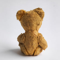 Teddy Bear Picnic