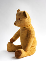 Big Ted