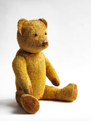 Big Ted