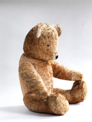 Made from buff-brown mohair plush, our big ted has been much loved yet is still in wonderful condition. Born in the 1950s, his paw pads are also in brown plush and he has amber coloured eyes.  His nose and mouth are embroidered and he has a rotating head, with swivel jointing to his stout arms and legs, and is stuffed with his original wood-wool. He's a handsome boy.