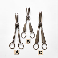 Antique Silver Grape Scissors