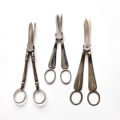 Antique Silver Grape Scissors