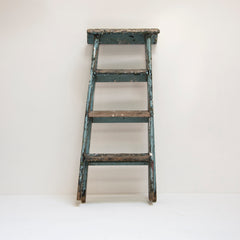 Blue Step Ladders