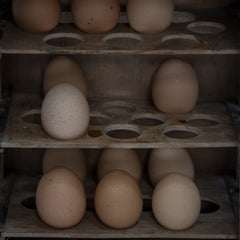 Edwardian Country House Egg Cabinet