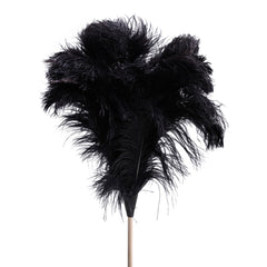 extra-large-ostrich-feather-duster