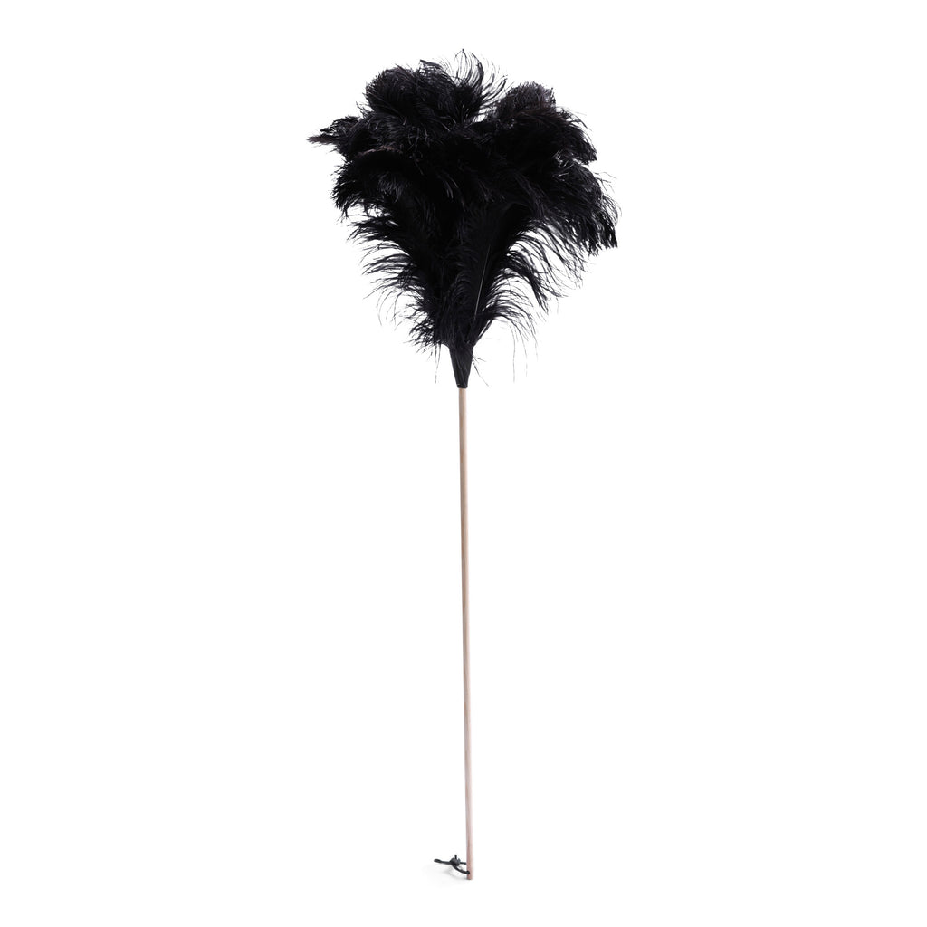 extra-large-ostrich-feather-duster