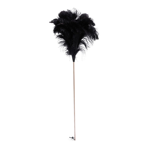 Extra large feather duster