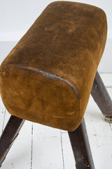 A handsome 1930s school gym horse with extending legs and original suede leather upholstered top. It would make a great sculptural addition to the home - and a fine clothes horse for the bedroom.