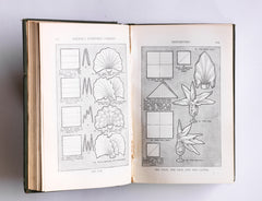 Mrs Beeton's Every Day Cookery