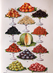Mrs Beeton's Every Day Cookery