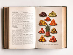 Mrs Beeton's Every Day Cookery