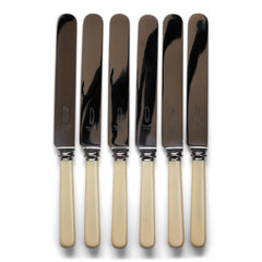 A set of 6 dinner knives, each blade marked "Sanders & Co Ltd Sheffield".