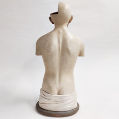 1920s Anatomy Class Torso