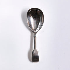 Tea Caddy Spoon