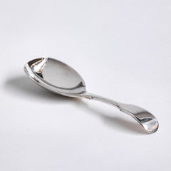 Tea Caddy Spoon