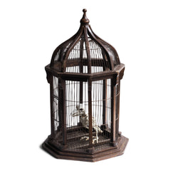 A very elegant Victorian architectural cupola shaped bird cage with original wiring and painted finish. The base is constructed from wood and supports eight wooden columns which in turn anchor the fine wire cage work - and its dome is topped with a turned finial. The cage is also fitted with a sprung wire hatch for access, and a base that is hinged for cleaning purposes.