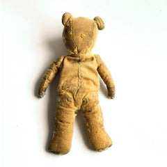 Little Ted