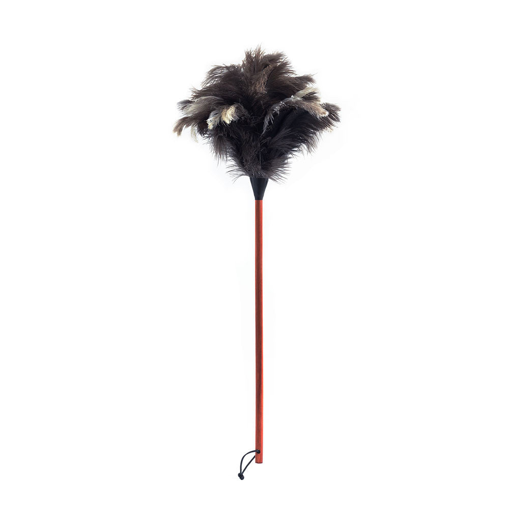 classic-feather-duster