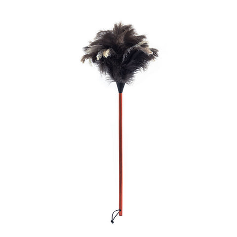 Classic Feather Duster