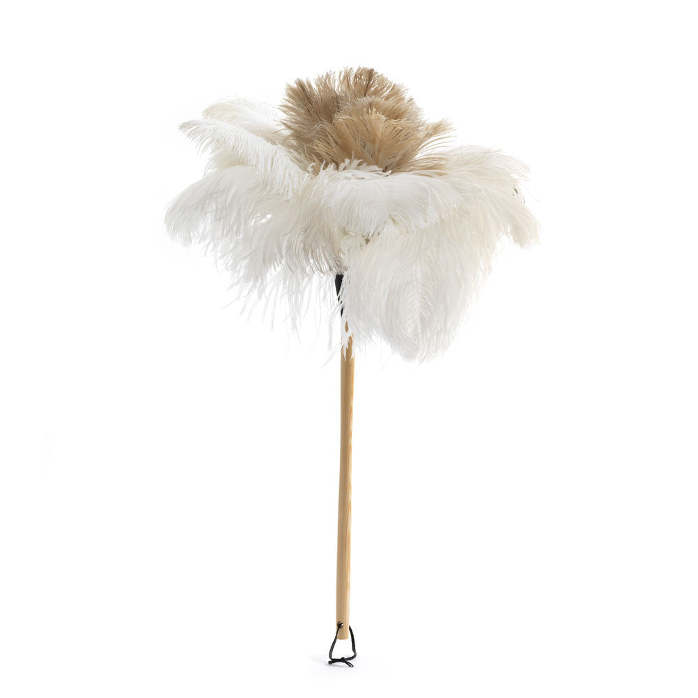 A full head of white ostrich feathers set on a long pale wood handle makes up our much sort-after white feather duster.  It is excellent for all your dusting needs that require the lightest of touches. White ostrich feathers are the rarer feathers found underneath the birdÍs wing and are more difficult to come by – and so we apologise if from time to time we are out of stock of this item.