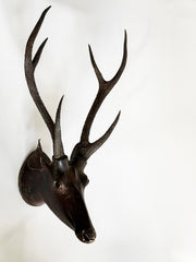 A rare and very striking deer head style trophy fashioned from papier-mâché and with reel deer antlers, that was most likely made in the 19th century in colonial India, during the days of The British Raj.