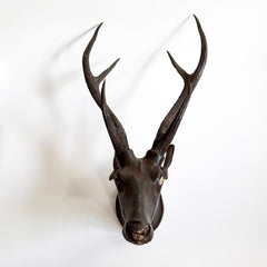 A rare and very striking deer head style trophy fashioned from papier-mâché and with reel deer antlers, that was most likely made in the 19th century in colonial India, during the days of The British Raj.