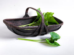 An extra-large rustic antique trug, with a particularly pleasing historic sheet-metal repair to its interior, and a lovely patina formed from decades of use.