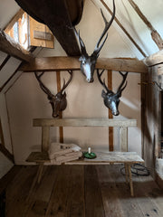 Three very striking deer head style trophy fashioned from papier-mâché and with reel deer antlers, that were most likely made in the 19th century in colonial India, during the days of The British Raj.