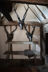 Three very striking deer head style trophy fashioned from papier-mâché and with reel deer antlers, that were most likely made in the 19th century in colonial India, during the days of The British Raj.