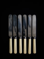 Set of 6 vintage Wilderness knives with ivorine handles and stainless steel blades 