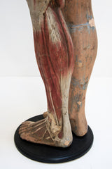 Rare Victorian Life-size Medical School Figure