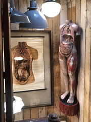 Rare Victorian Life-size Medical School Figure