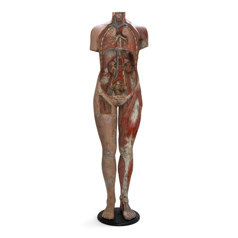 Rare Victorian Life-size Medical School Figure