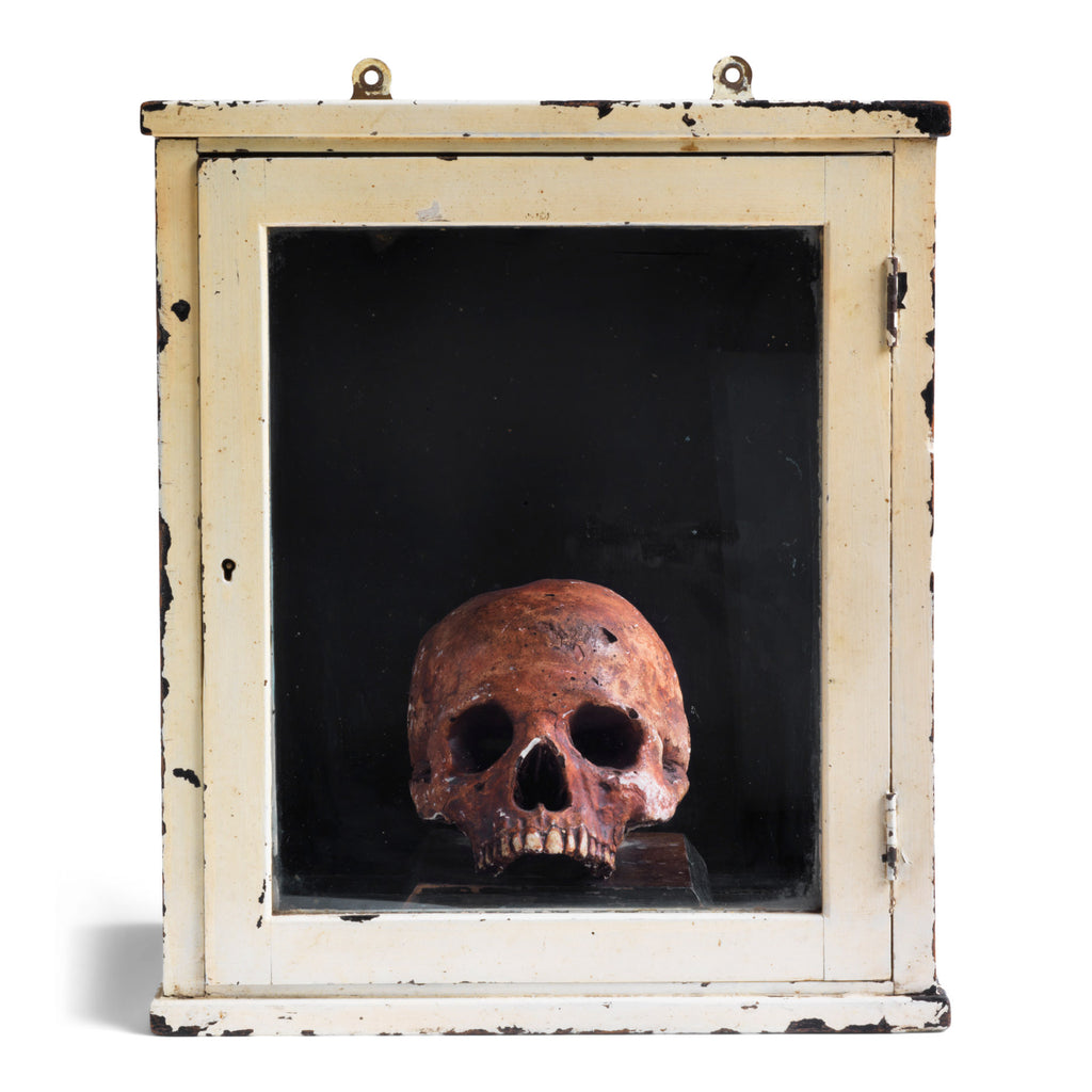 A Victorian life-sized child’s skull cast in plaster and  with its original paint finish. Mounted on a wooden stand and housed in a medical cabinet, it would have been used for phrenological and medical studies.