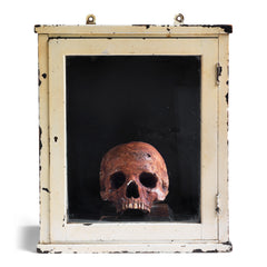A Victorian life-sized child’s skull cast in plaster and  with its original paint finish. Mounted on a wooden stand and housed in a medical cabinet, it would have been used for phrenological and medical studies.