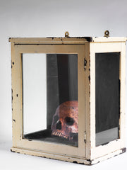 A Victorian life-sized child’s skull cast in plaster and with its original paint finish. Mounted on a wooden stand and housed in a medical cabinet, it would have been used for phrenological and medical studies