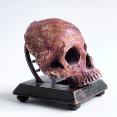This compelling Victorian life-sized child’s skull is cast in plaster and is with its original paint finish. Mounted on a wooden stand and housed in a medical cabinet, it would have been used for phrenological and medical studies.