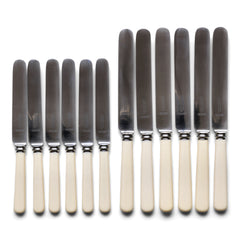 Set 12 dinner knives