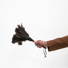 Handy Feather Duster