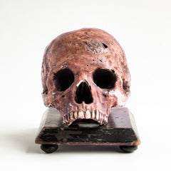 A Victorian life-sized child’s skull cast in plaster and with its original paint finish. Mounted on a wooden stand and housed in a medical cabinet, it would have been used for phrenological and medical studies