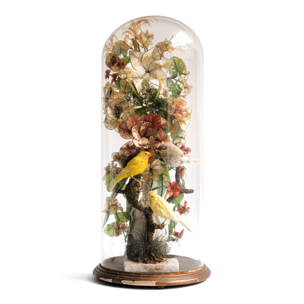 A magnificent Victorian dome of beautiful taxidermy, housing yellow canaries perched within a hand-woven bower of intricate wire-work silk thread petals and leaves. A true garden of delights, of threaded petals, leaves, flowers and fronds all set in a Parian ware urn. Year of manufacture: c. 1880 Origin: UK.