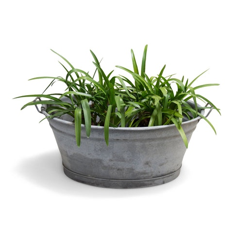 Extra-large Galvanised Oval Bath