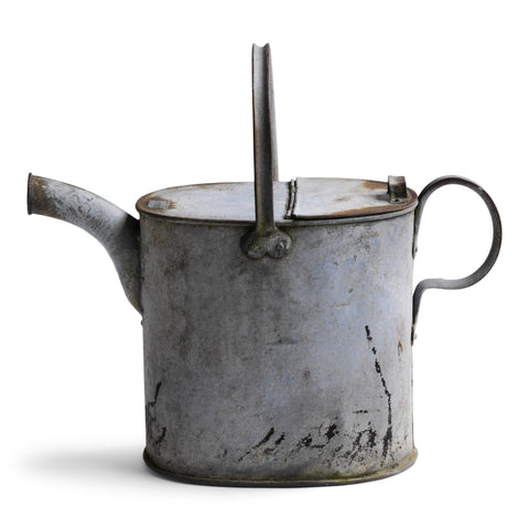 Galvanised Houseplant Watering Can