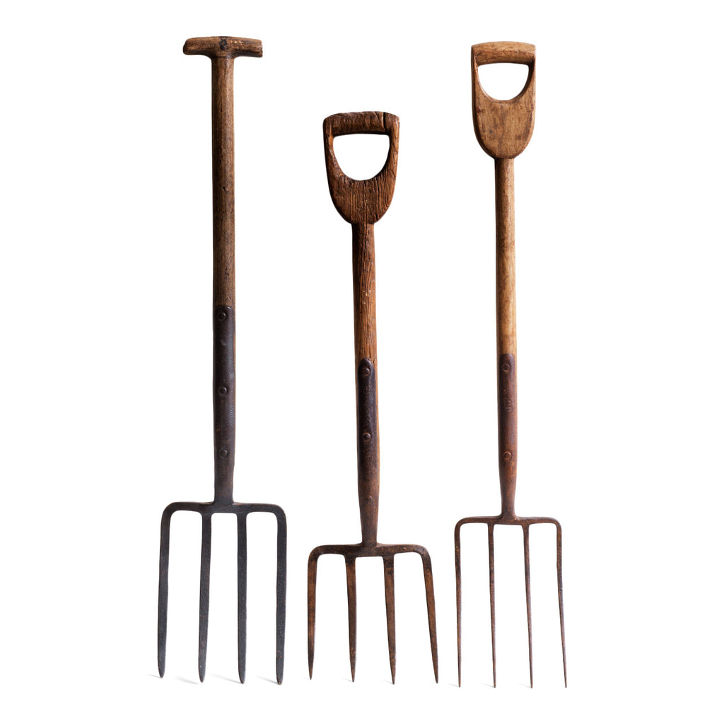 A collection of three antique garden forks.