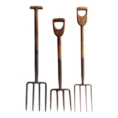 A collection of three antique garden forks.