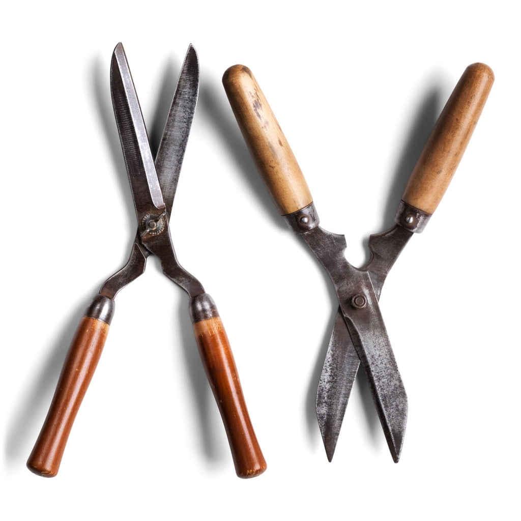 Two pairs of good quality vintage ladies' garden shears, both with polished wooden handles and polished sharp steel blades. 